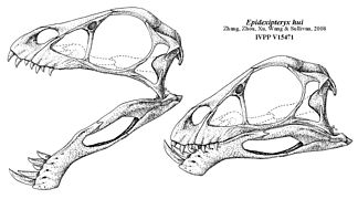 Reconstruction du crâne