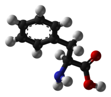 L-fenilalanina