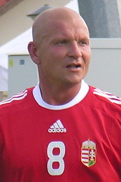 Lendvai Miklós (2011)