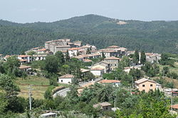 View of Torniella