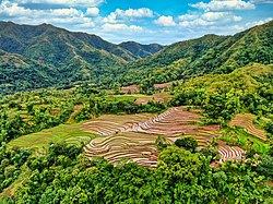 Tibiao Rice Terraces