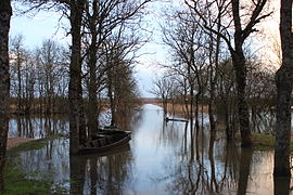 Flooded Port of the Montru in February 2014