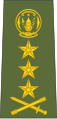 Lieutenant general[44] (Rwandan Land Forces)