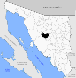 Location of the municipality in Sonora