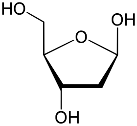 Deoxyribóza – strukturní vzorec (2-deoxy-β-D-ribofuranosa)