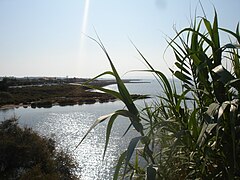 L'étang éd l'or pré d' Montpellier