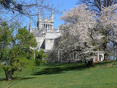 The estate in bloom