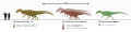 Allosaurus Scale Diagram