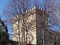 la torre sud del castello lievemente coperta da alcuni rami