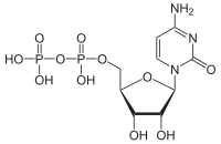 Structuurformule van cytidinedifosfaat