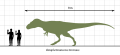 Daspletosaurus Scale Diagram