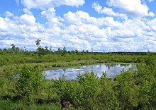 Dystrophic lake in Bielawa nature reserve in Poland.JPG