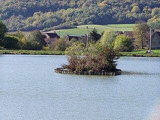 Étang du Moulin.