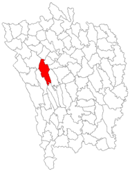 Location in Vaslui County