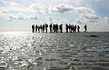 Waddenzee, Groningen