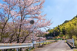 新野町清貞・友常（橋梁）