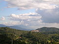 Cameron highlands