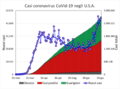 Evoluzione casi Covid-19 negli Stati Uniti.