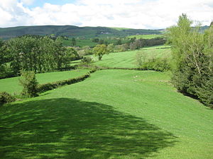 Sycharth, Motte and Bailey Castle looking towards Llansilin