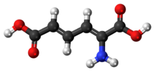 Ball-and-stick model of 2-aminomuconic acid