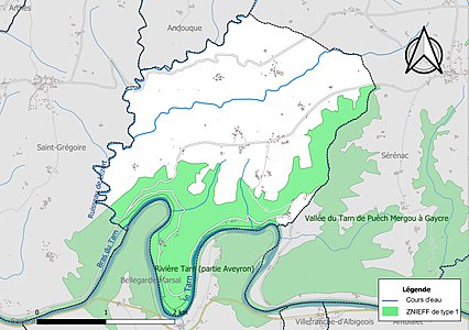 Carte des ZNIEFF de type 1 sur la commune.