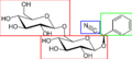 amygdalin cyanoglykosid som bl.a. spaltes til hydrogencyanid (blått)