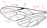 Neue Vektorgrafik