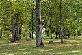 Mõisa park