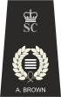 Special Constabulary Chief Officer Insignia