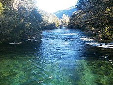 Le Río Manso en son cours supérieur, près du lac Los Moscos.