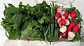 Sabzi Khordan, an Iranian salad-like dish, here of mixed greens and radishes