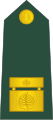 Brigadircode: sl is deprecated (Slovenian Ground Force)[5]