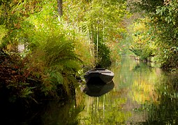 Autumn in the Spree Forest (Burg (Spreewald)/Bórkowy (Błota))