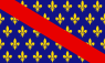 Drapeau du Bourbonnais.