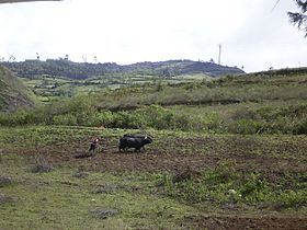 Campesino cerca de Leymebamba.