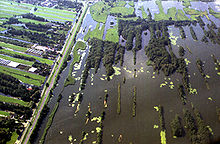 Nieuwkoopseplassen-20040311.jpg