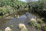 山名の由来となっている麓の農民により雨乞い登崇が行われていた山頂にある池（大峠ノ沢）