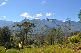 Hoogland van Nieuw-Guinea