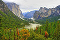 Forêt tempérée de conifères (Californie)