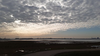 Bij Werkendam, aan de oostkant van de Biesbosch