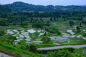 星峠の棚田