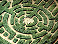 Image 43Labyrinth maze of Barvaux, Durbuy, Belgium (from List of garden types)