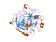 2bxt: DESIGN AND DISCOVERY OF NOVEL, POTENT THROMBIN INHIBITORS WITH A SOLUBILIZING CATIONIC P1-P2-LINKER