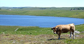 Image illustrative de l’article Lac de Saint-Andéol