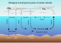 Image 54Air-sea exchange of CO2 (from Carbon dioxide in Earth's atmosphere)