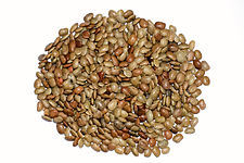 File:Horse Gram BNC.jpg