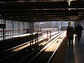 To the east, the tracks are elevated across the Humber River valley and into the tunnel portal toward Jane station.