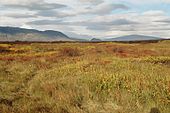 Þingvellir.