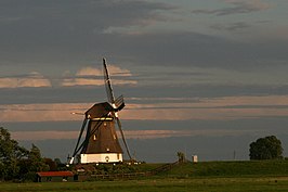 Akkerslootmolen 2008