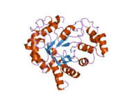 1xgd: Apo R268A human aldose reductase